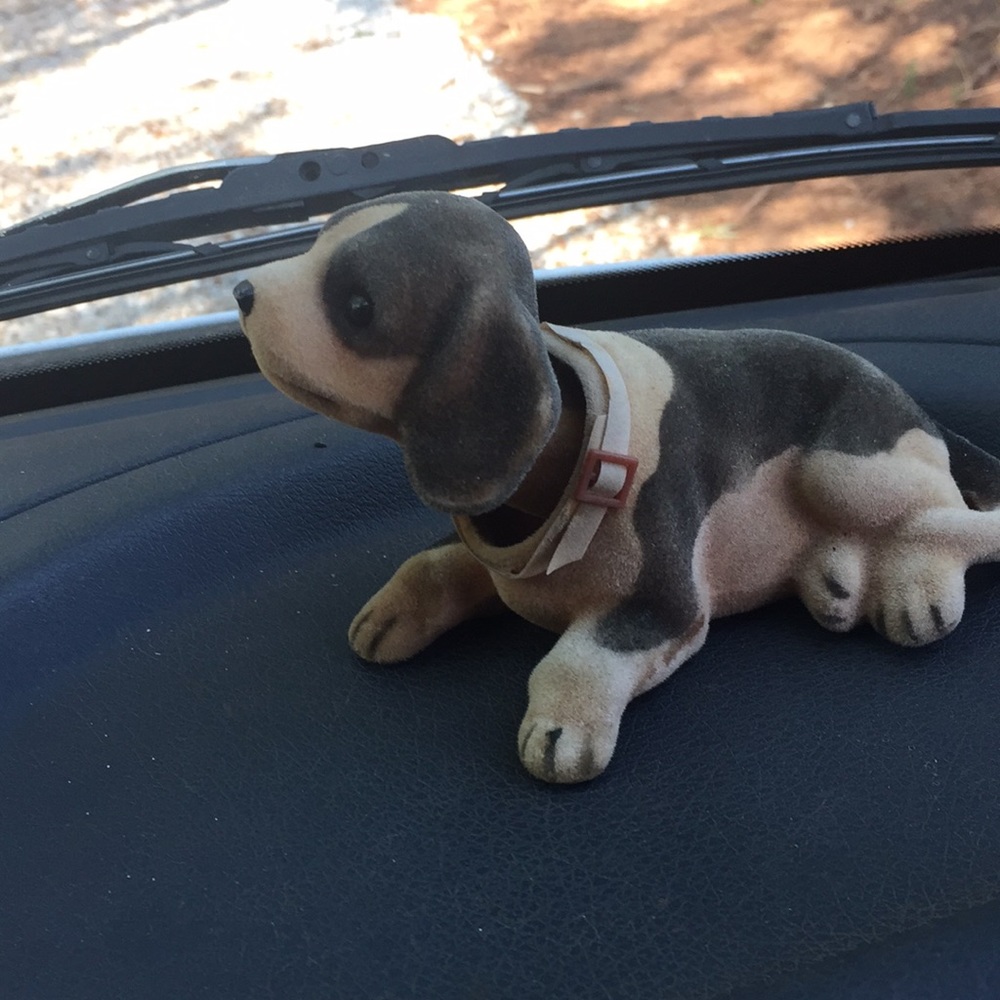 Meet your Posher, Celia